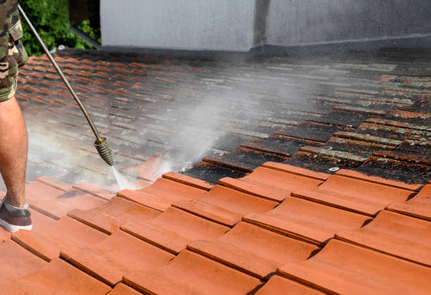 Best Garage Pressure Washing  in Lake Helen, FL