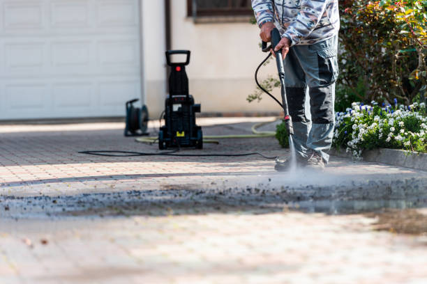 Best Exterior Home Cleaning  in Lake Helen, FL