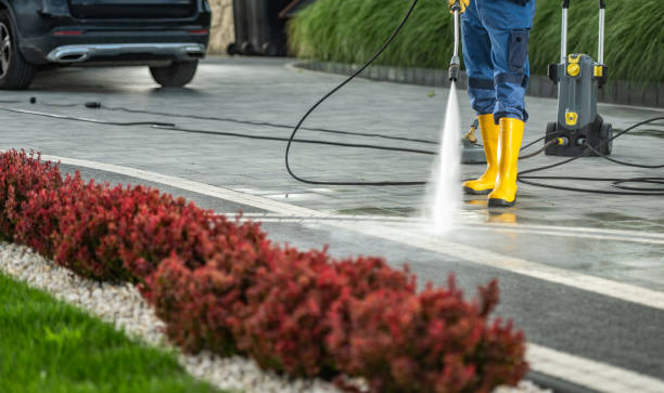 Best Roof Power Washing Services  in Lake Helen, FL